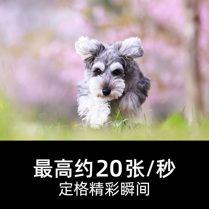EOS R5 机身